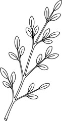 "Hand Drawn Botanical Twigs & Leaves Bundle &ndash; Black and White Vector Set"