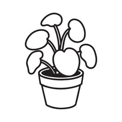  Simple Potted Begonia with Bold Round Leaves Silhouette on white Background.