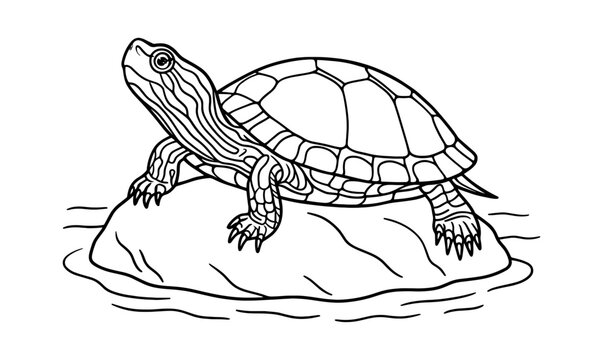Painted turtle outline for coloring and design projects