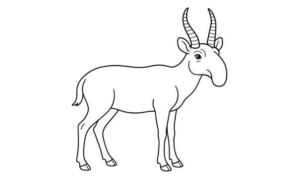 Saiga antelope outline illustration for wildlife design and educational materials