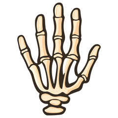 skeleton hand, costume, halloween, festival, vector, transparent background, decoration, hand, isolated, skeleton, bones, mannequin, model, figurine, medical, x-ray, bone, icon