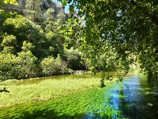 Vibrant Nature at La Fontaine-de-Vaucluse – Lush Landscape and Emerald Waters in Provence, France.