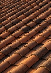 Terracotta Tides: A Roof's Rhythm