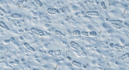 Footprints in Snow