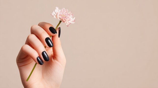 Female hand with black manicure gently holding a small pink flower against a light beige background.