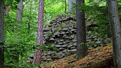Rock Wall Ancient Stronghold Fortress Structure Hidden in Thick Forest