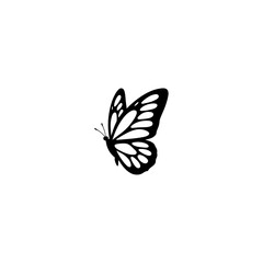 butterfly silhouette , butterfly vector illustration. butterfly isolated vector on white background. 