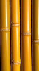 Golden Bamboo: A Textured Symphony