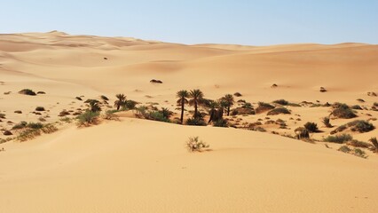Paysage de l'oasis d'Oubari, dans le Sahara Libyen