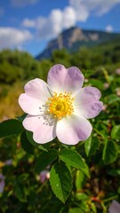 Close-up of a delicate, pale pink dog rose blossom against a backdrop of verdant foliage and a majestic mountain range under a bright sky.