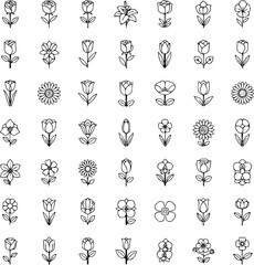 "Hand Drawn Floral Elements Set &ndash; Black and White Botanical Vector Bundle"