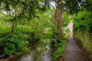 path in the park. Cotswold's, England 