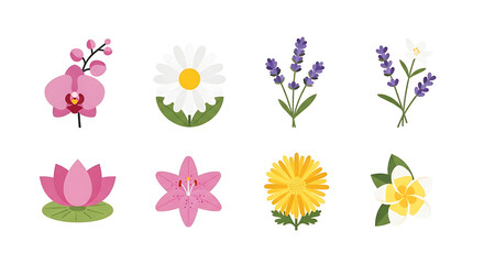 A diverse set of eight colorful flower illustrations, including orchid, daisy, lavender, and lotus.