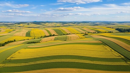 Aerial view of rolling green countryside fields with golden wheat and sunflowers under blue sky, patchwork farmland landscape symbolizing rural life, growth, and natural abundance.
