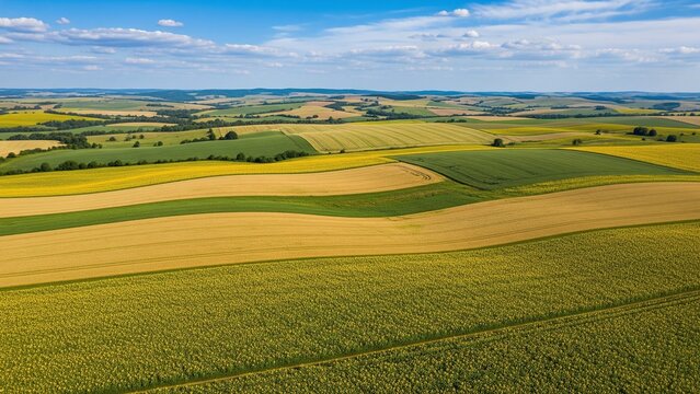 Aerial view of rolling green countryside fields with golden wheat and sunflowers under blue sky, patchwork farmland landscape symbolizing rural life, growth, and natural abundance.