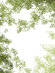 Fototapeta premium Greenery plants border frame 3d render