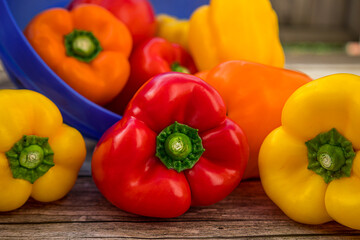colorful bell peppers