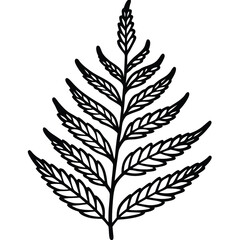 Obraz premium Detailed black outline illustration of a fern leaf with delicate, triangular leaflets