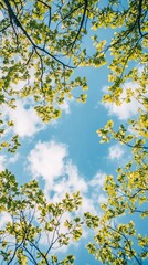 Fototapeta premium Lush green leaves frame a vibrant blue sky dotted with fluffy white clouds
