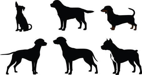 Vector dog illustrations, black and colored dog silhouettes, pet breed clipart collection, domestic dog artwork, animal design elements, isolated set