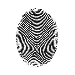 Detailed fingerprint isolated on transparent background, a unique pattern for authentication