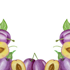 Branch with plums, set of purple berries on isolated white background, botanical illustration hand drawn watercolor, ripe fruit