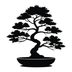 Silhouette of a twisted bonsai tree in a pot