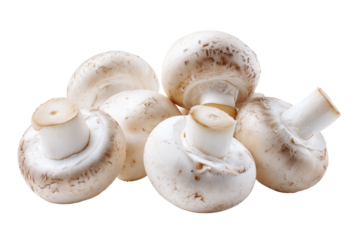 Button mushrooms isolated on transparent or white background, png