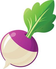 vector illustration of radish