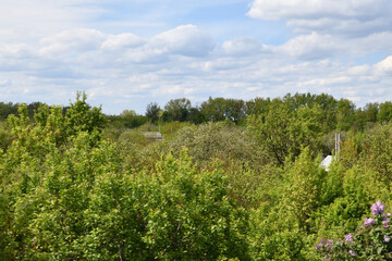 Obraz premium Landscape with roofs of old summer houses in a gardening community, Russia