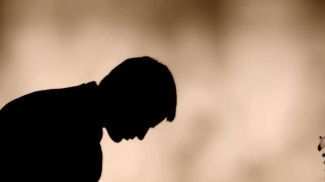 Chiropractor Examines Patient Silhouette with Spinal Model Medical Expertise