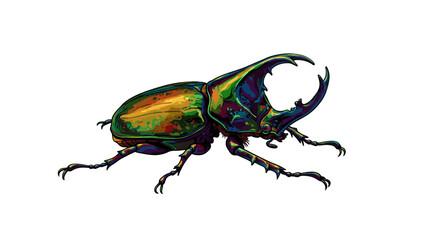 Naklejka premium Colorful Illustration of a Rhinoceros Beetle with Prominent Horn 1.