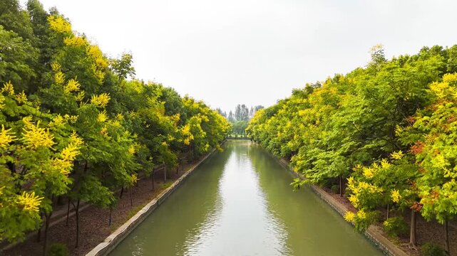 Drone video of a calm canal bordered by lush green and yellow trees on both sides.