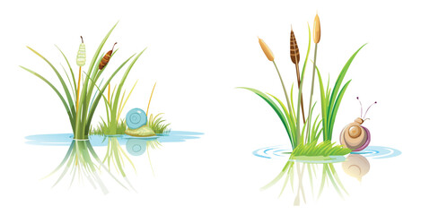 Delicate snail climbing a slender water reed vector art design illustration