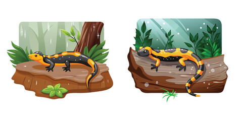 Vivid salamander resting on a glistening wet log vector art design illustration