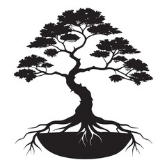 Silhouette of a meticulously shaped bonsai tree with prominent roots