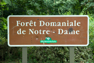 Forêt Notre Dame,, Domaine départemental des Marmousets, Massif de l'Arc Boisé, La Queue en Brie, 94, Val de Marne, France