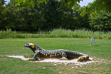 Salamandre, Domaine départemental des Marmousets, Massif de l'Arc Boisé, La Queue en Brie, 94, Val de Marne, France