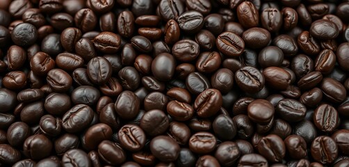 Obraz premium Close-up of dark, oily roasted coffee beans, showing rich texture and detail, harvest, product