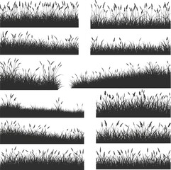 Create a kinds of deferent Meadow background, grass silhouette, vector meadow border vector art with white background.