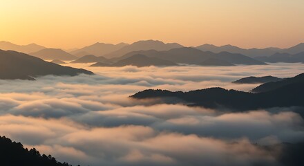 Golden morning light illuminates a stunning landscape of mountains floating on a bed of clouds