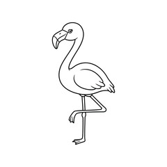 Elegant flamingo bird line art drawing simple animal sketch for tropical design vector