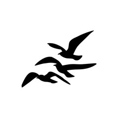 Seagull silhouette