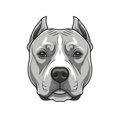 Pitbull head full body, cartoon vector digital art, isolated on white transparent background