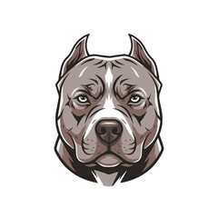 Pitbull head full body, cartoon vector digital art, isolated on white transparent background