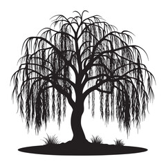 Silhouette of a weeping willow tree