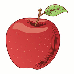 Red Apple with Stem and Leaf Hand Drawn Illustration