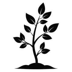 growing plant phase black and white silhouette