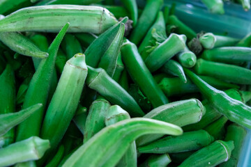 The image displays a close-up pile of fresh green okra pods. Each pod is elongated and tapered, with a vibrant green hue and slightly ribbed texture.