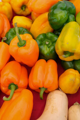Colorful peppers and squash display